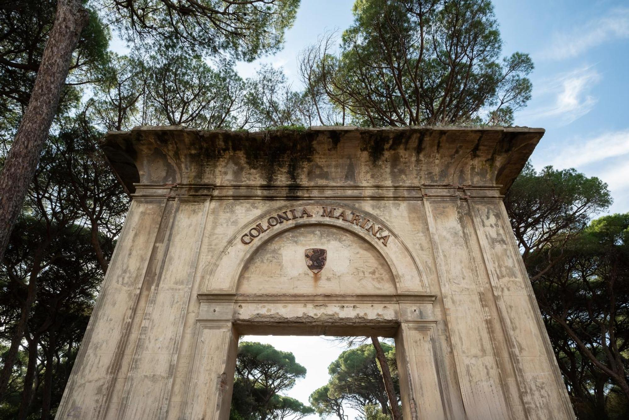 Hotel Parco Dei Pini - 100Mt Dal Mare Follonica Bagian luar foto
